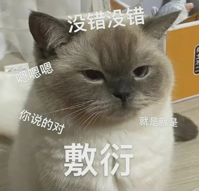 没错没错嗯嗯嗯你说的对就是就是敷衍