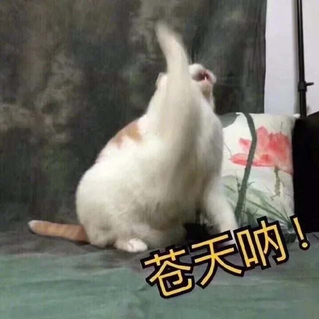 苍天呐（苍天呐）