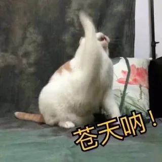 苍天呐