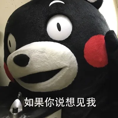 如果你说想见我