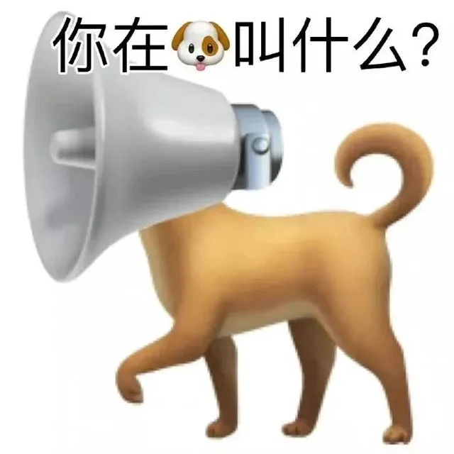 你在叫什么？（你在叫什么？）