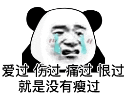 爱过伤过痛过恨过就是没有瘦过(熊猫头表情包)（爱过伤过痛过恨过就是没有瘦过(熊猫头表情包)）