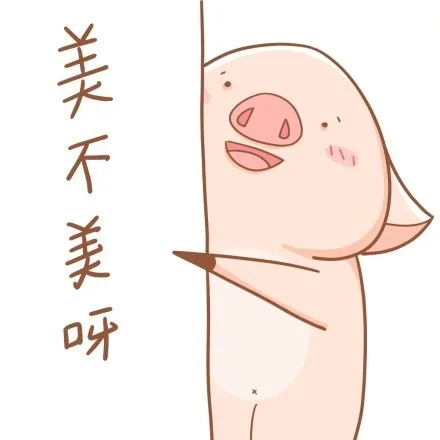 我美不美（八戒）_八戒表情包