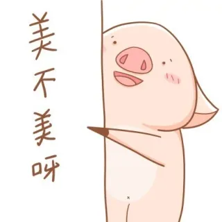 美不美呀！