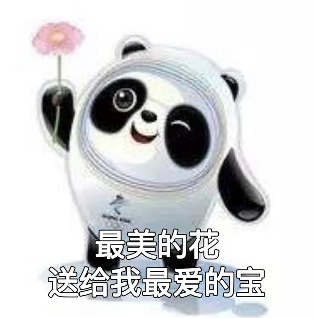 最美的花送给我最爱的宝（最美的花送给我最爱的宝）