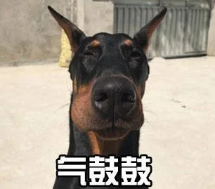 气鼓鼓（气鼓鼓）