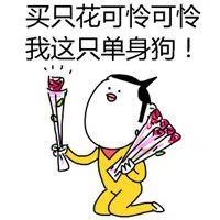 买只花可怜可怜我这只单身狗