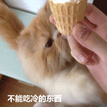 来大姨妈时的你_大姨妈_动图_萌萌哒