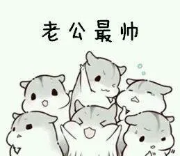 仓鼠撒娇表情包_仓鼠_萌萌哒_撩妹撩汉