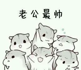 仓鼠撒娇表情包_仓鼠_萌萌哒_撩妹撩汉表情包