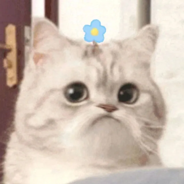 微笑小猫表情包 不开心