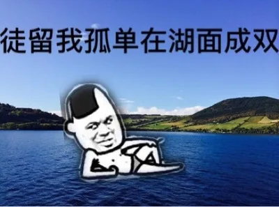 徒留我孤单在湖面成双