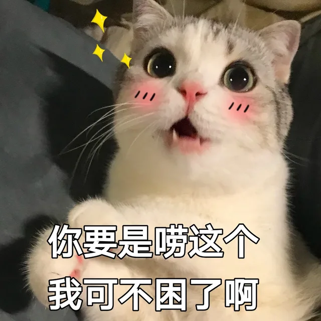 一只大眼萌猫