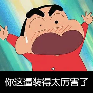 你这逼装得太厉害了（你这逼装得太厉害了）