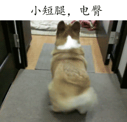 小短腿，电臀（小短腿，电臀）