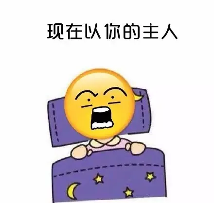 现在以你的主人（现在以你的主人）