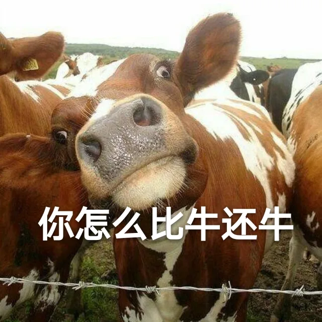 你怎么比牛还牛（你怎么比牛还牛）