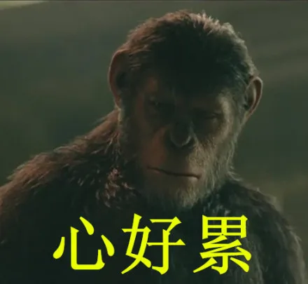 心好累！