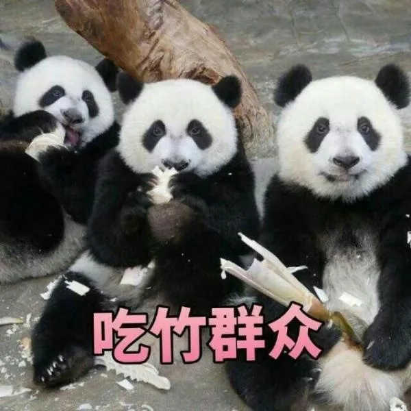 吃竹群众