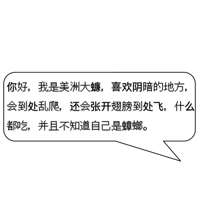 你好，我是美洲大蠊，喜欢阴暗的地方，会到处乱爬，还会张开翅膀到处飞，什么都吃，并且不知道自己是蟑螂。