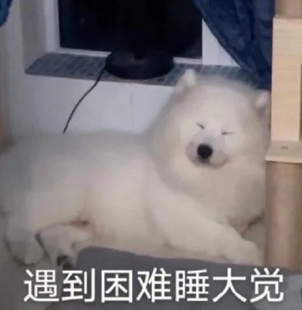 遇到困难睡大觉（遇到困难睡大觉）