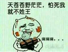 天苍苍野茫茫，怕死我就不姓王，滴滴滴