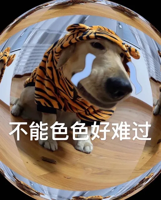 不能色色好难过