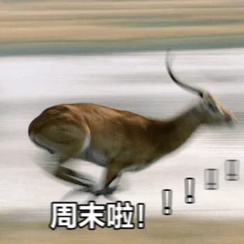 周末啦!(奔跑的鹿)