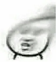 一组沙雕情侣头像_头像