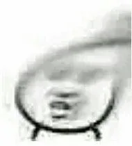 一组沙雕情侣头像_头像