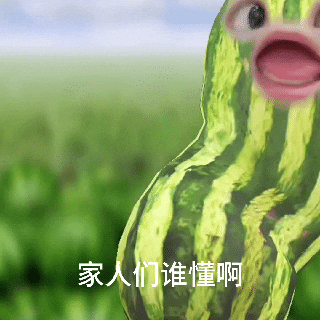 家人们谁懂啊（家人们谁懂啊）