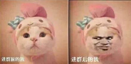 进群前的我，进群后的我