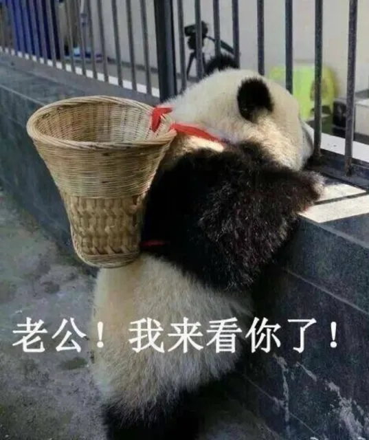 老公！我来看你了！