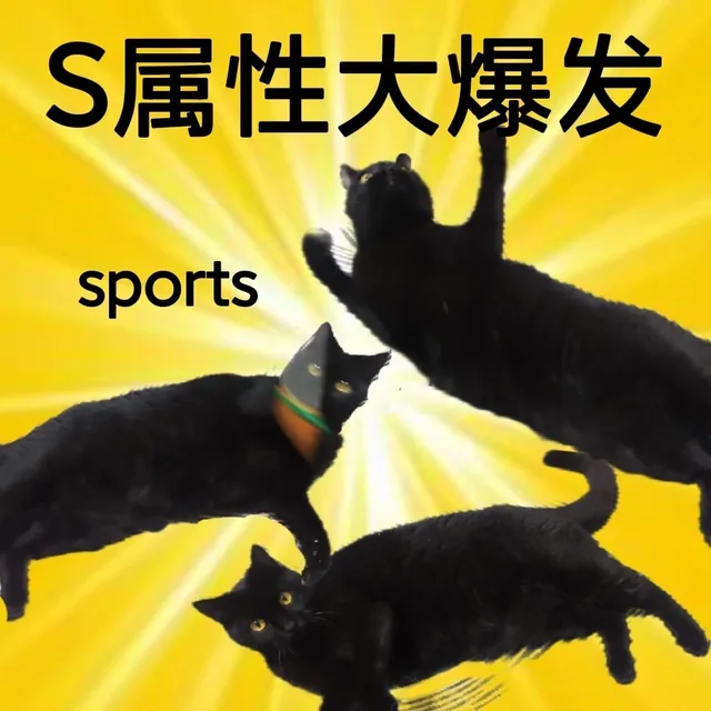 S属性大爆发sports（S属性大爆发sports）