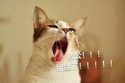 老公！！！我饿了！！！（老公！！！我饿了！！！）