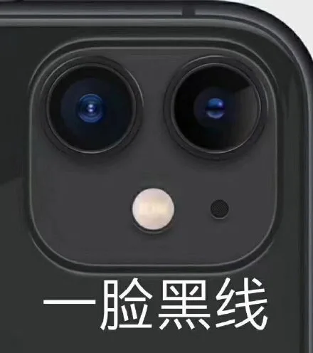 一脸黑线（iPhone11摄像头表情包）