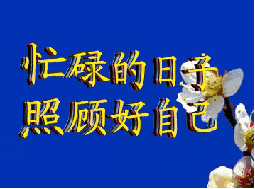 中老年表情包系列表情包