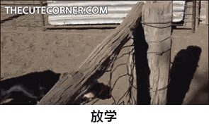 放学（放学）
