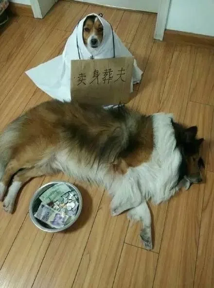 卖身葬夫