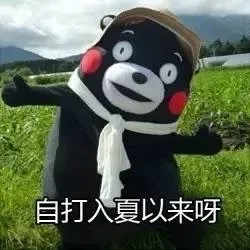 我告诉太阳要雨露均沾 （熊本熊）_熊本熊_表情头牌_卡通表情包