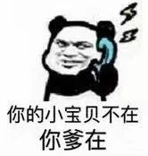 你的小宝贝不在你爹在（你的小宝贝不在你爹在）