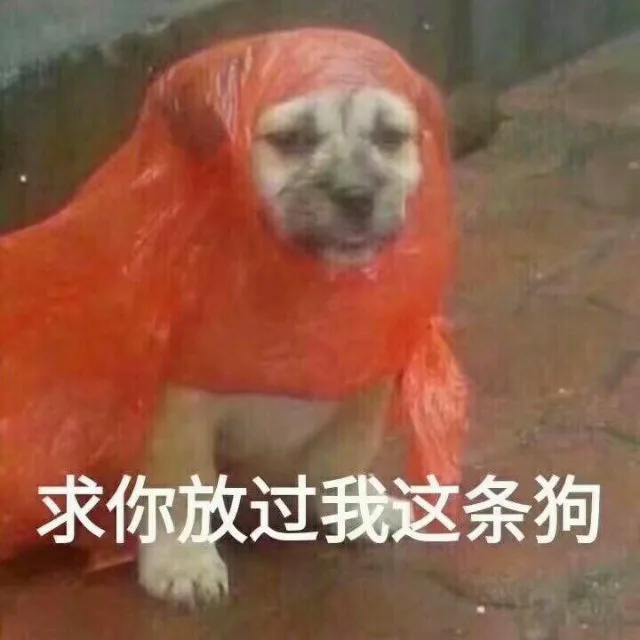 求你放过我这条狗（求你放过我这条狗）