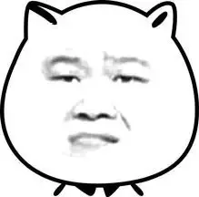 白色小猫脸明星脸_动图