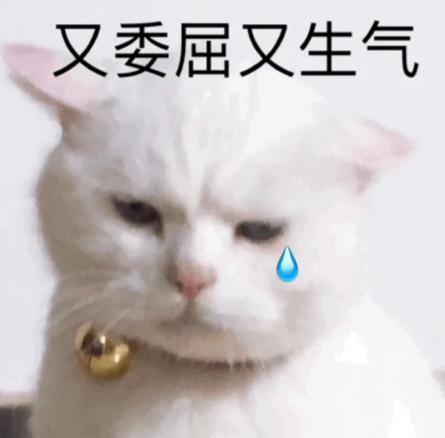 又委屈又生气