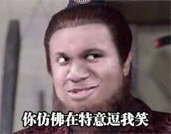 你仿佛在特意逗我笑