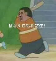 糟老头你给我站住（糟老头你给我站住）