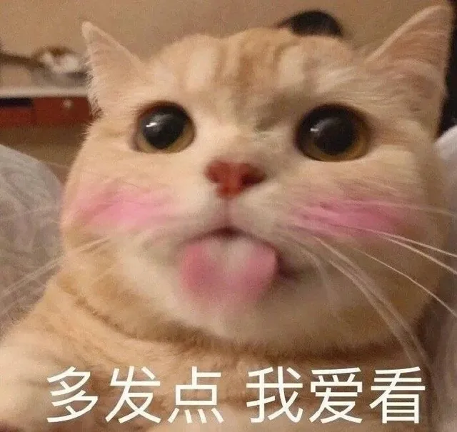 多发点我爱看（多发点我爱看）