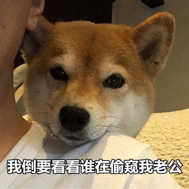 我倒要看看谁在偷窥我老公