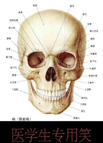 医学生专用笑
