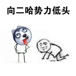 向二哈势力低头（向二哈势力低头）